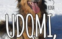 TODO